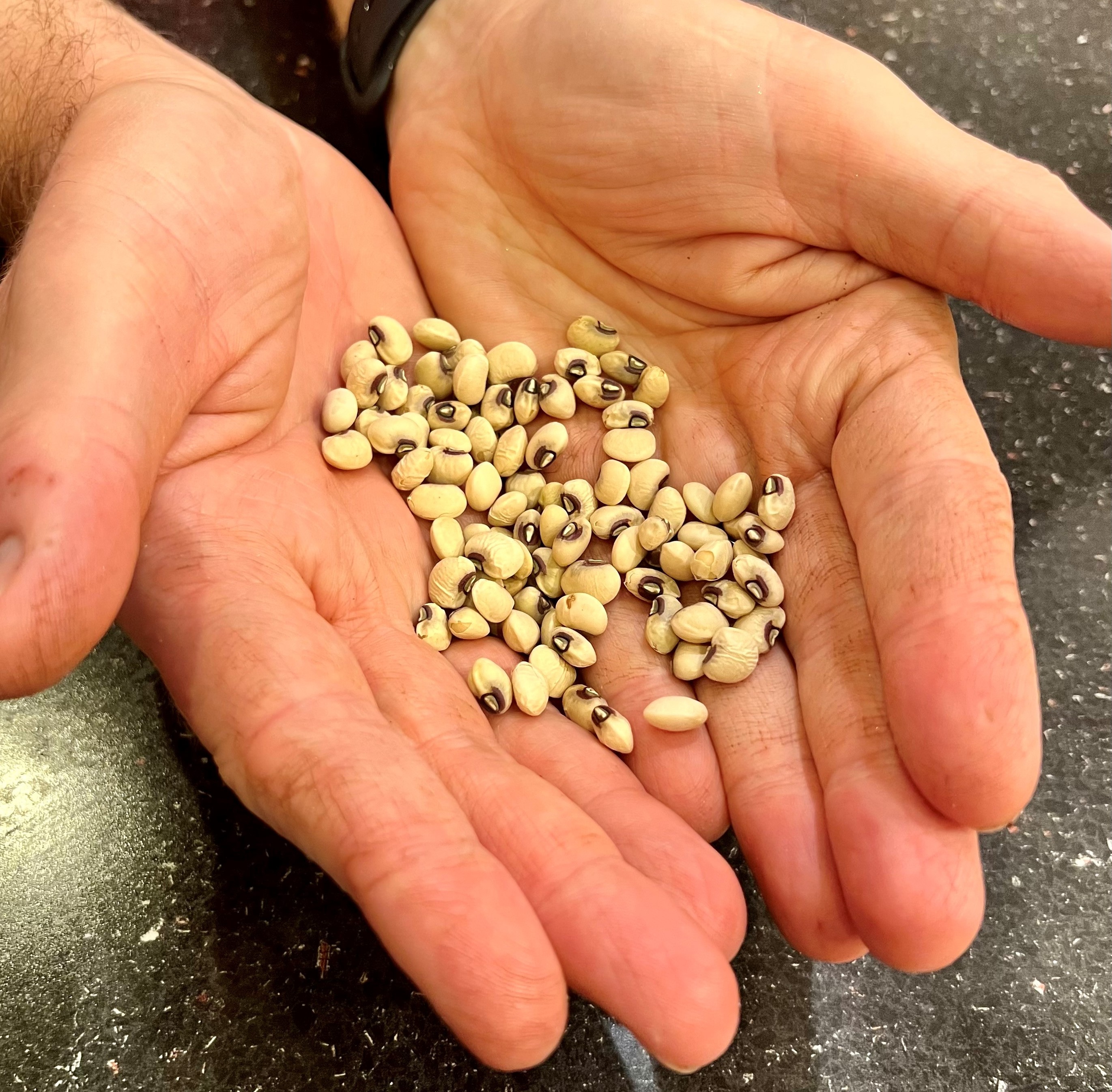 Beneficial Southern Peas